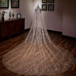 the voice of the same starry veil, champagne, gold and white spray the new bridal bridal veil bride.