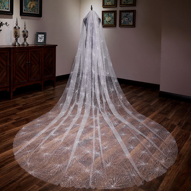 the voice of the same starry veil, champagne, gold and white spray the new bridal bridal veil bride.