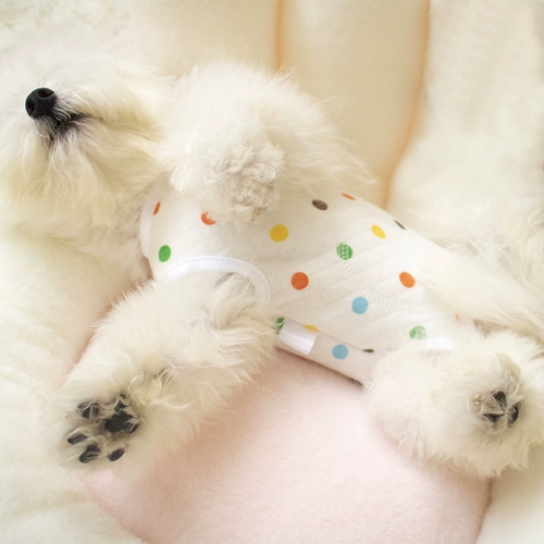 Живопись на животе -защита собачьей одежды осенью и зимним