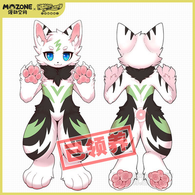 taobao agent [Adopted] The original Furry Beast is set up with a lonely wolf black forest Fursuit Full installation