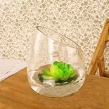 Гидропонный мясо на рабочем столе, цветочный горшок, диагональный рот прозрачный стеклянный цветочный бутылка Гидравлические цветочные зеленые растения простые