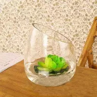 Гидропонный мясо на рабочем столе, цветочный горшок, диагональный рот прозрачный стеклянный цветочный бутылка Гидравлические цветочные зеленые растения простые