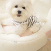 Редкий пепел