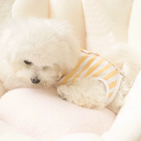 Блоки желтые