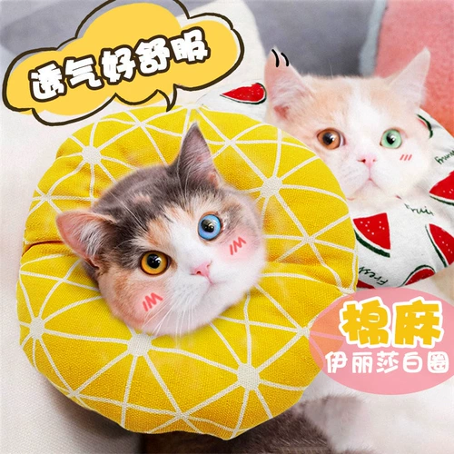 Элизабет круглый собака и кошка обыкновенная собака борьба с кошкой кошка шеи питовой круг защиты круга красоты Херд стыд круг