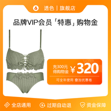Белье-магазины золота 【充值300得320】透色内衣旗舰店vip充值卡