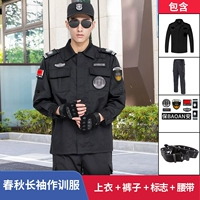 Осенний комплект с молнией, штаны, ремень