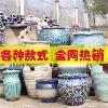 Товары от 湖东花盆企业店