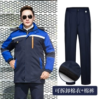 Тибетская синяя пинде -синяя плечо хлопчатофора (разборка)