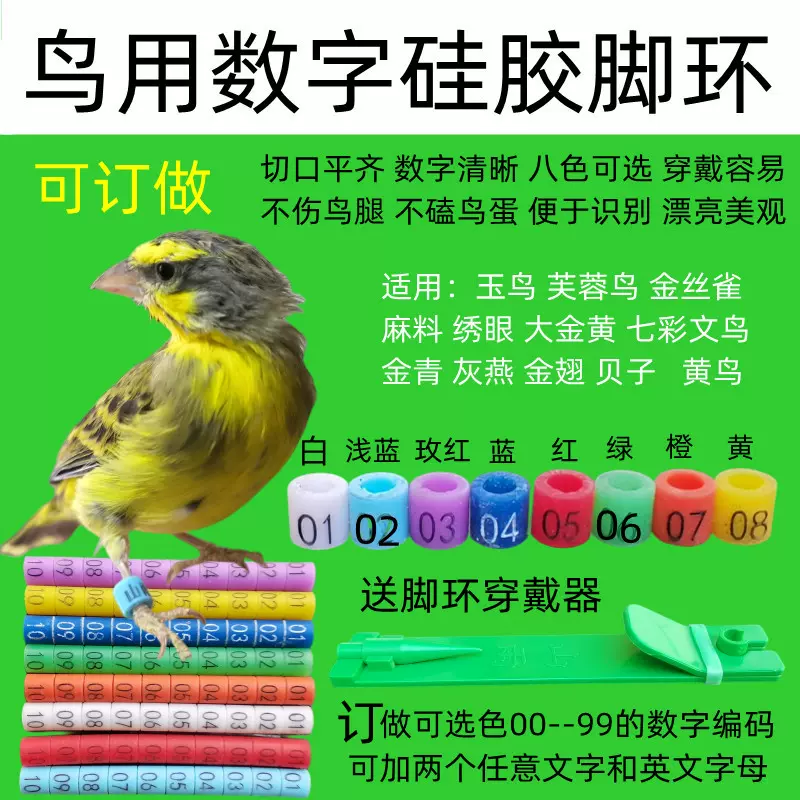 鸟脚环玉鸟识别环开口鸟足环鸟记号环金青文鸟脚环芙蓉鸟鹦鹉脚环
