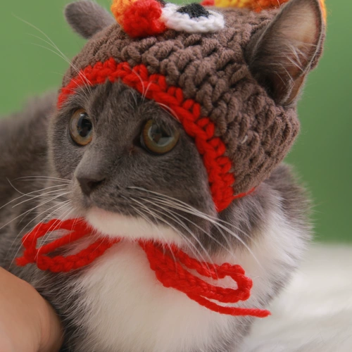 Шапка, милый шерстяной плетеный шлем, популярно в интернете