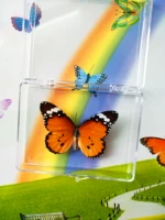 Золотая вина 6 см