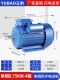 Однофазная модель 0,75 кВт-4 полюса/1400 об/мин