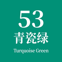 53