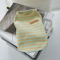 Красочный зеленый жилет