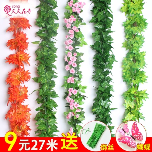 Моделирование растения стена Горто Завет Фоно -стены