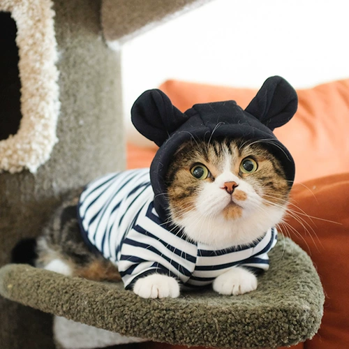 Пуховик, милый зимний демисезонный шнурок-держатель, осенний