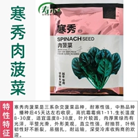 Hanxiu Meat Spinach 300G Original [ультра -тепловое сопротивление] Осеннее и зимнее поле посвящено