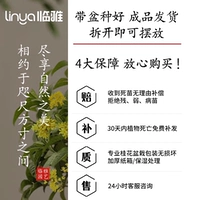 Если вы не сможете выжить в течение 30 дней, вы получите компенсацию и бесплатное послепродажное обслуживание!