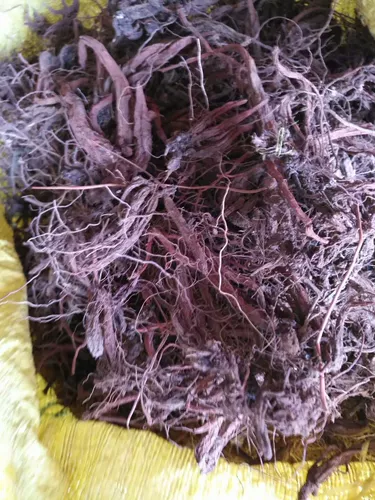 Cangshan Lingzhitang Pure Wild Whole Purple Ginseng 500G по всей стране бесплатная доставка