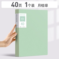 40 страниц/Laurel Green/1 установка