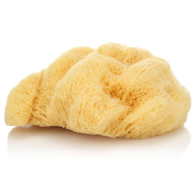 天然希腊海绵丝洗脸刷去黑头洁面卸妆去油腻