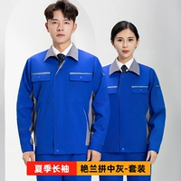 [Ся Чанг] Великолепная орхидея и средний серый цвет — комплект