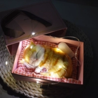 Маленькая труба будет называться Garfield Cat String Light Light Gift Box