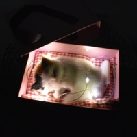 Маленькая двусторонная подарочная коробка