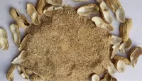 Студент колледжа Gem Township Township сельскохозяйственная продукция монополия арахисовые ракушки Do Experimental Feed Peord Shell Dever 250g