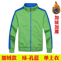 Плеся-зеленая одежда синие рукава