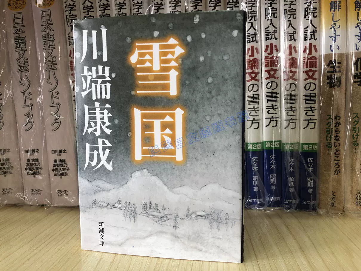 二手日文原版リーガルハイ胜者即是正义堺雅人新垣結衣小説