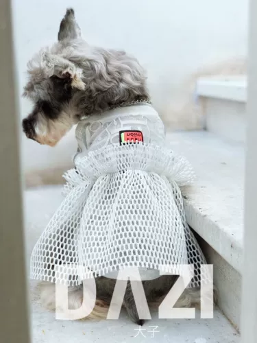 Dasizi Original Design Pet Dog Summer Birthday Party Day Day Day Day Sherryby Bear Teddy Платье