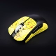 Pikachu Lizard V3ES