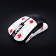 Red Maple Limited Lizard V3ES