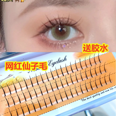 taobao agent Fairy A fake eyelashes fairy Mao Fairy model Barbie single cluster cluster segmented natural simulation comics