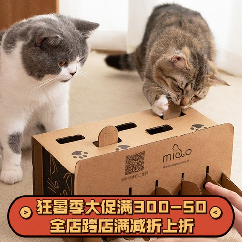 Коробка антистресс «Суслик», интерактивная игрушка, кот, популярно в интернете