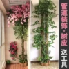 Товары от 花千韵植物