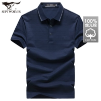 101 (тибетский цин)