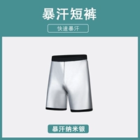 Njr-nano-slver [шорты] мужская модель