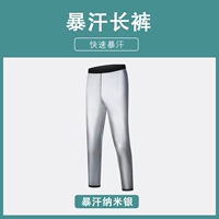Njr-nano-slver [брюки] мужская модель