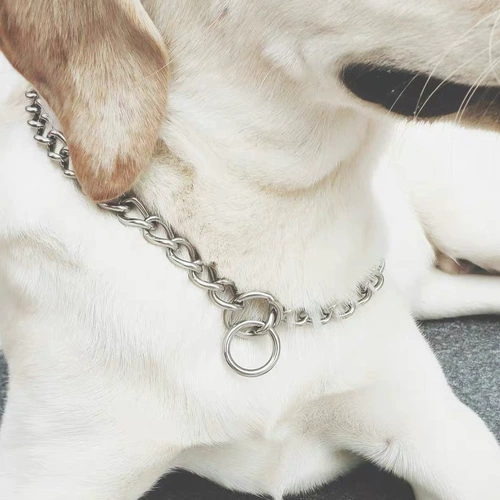 Собака среднего размера крупная ошейника из нержавеющей стали P-Sculpting маленькая собачья шейка для собак воротник золотой лошадь собака собака