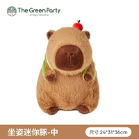 Модель среднего яблока