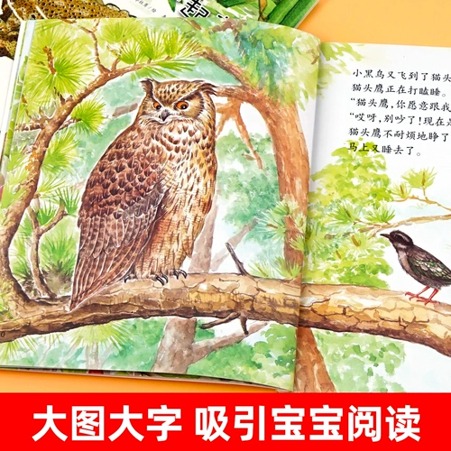 Книга с картинками для детского сада, научно-популярное чтение для раннего возраста, книга рассказов, 012346 лет, материалы для чтения, наука, обучение, образование и воспитание детей