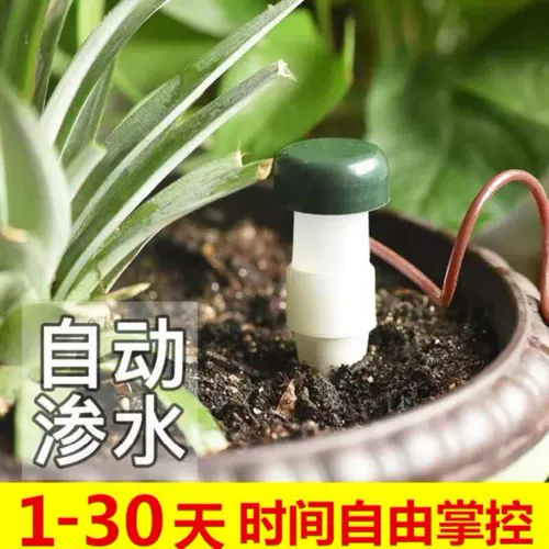 Авто -водный цветочный ростки ростки овощи овощи