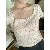 Абрикосовый фиолетовый цветок