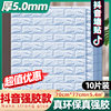 Sky Blue [Antibacterial · Douyin New] 10 pieces of about 5.4 square meters of word of mouth recommendation