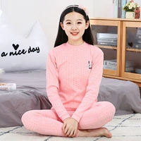 6602 Jade Powder Bunny (China Ling)