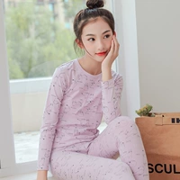 705G Purple Cat (Laika Cotton)