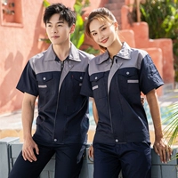 Сязанг синий на сером плече